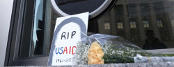 欧洲三国：USAID关门前先还钱！欠1500万呢，听见吱声啊…