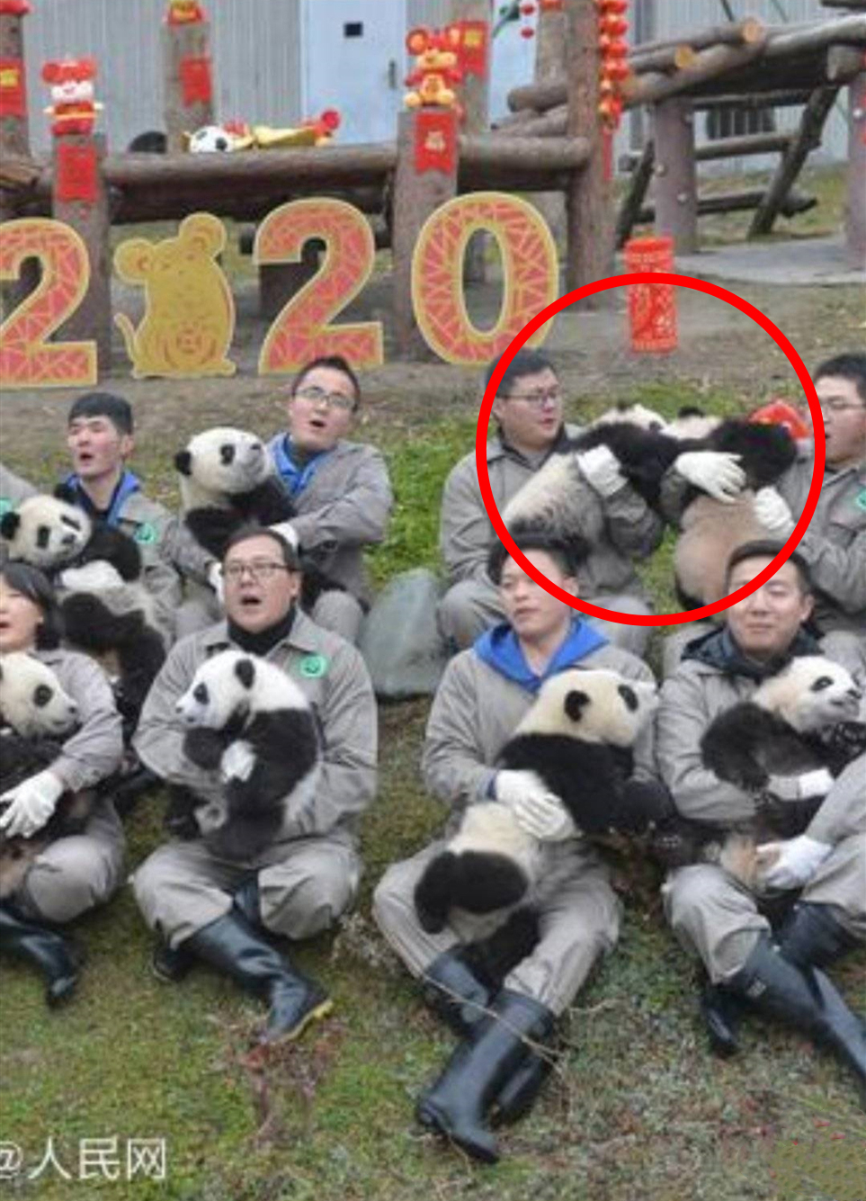 点击查看大图
